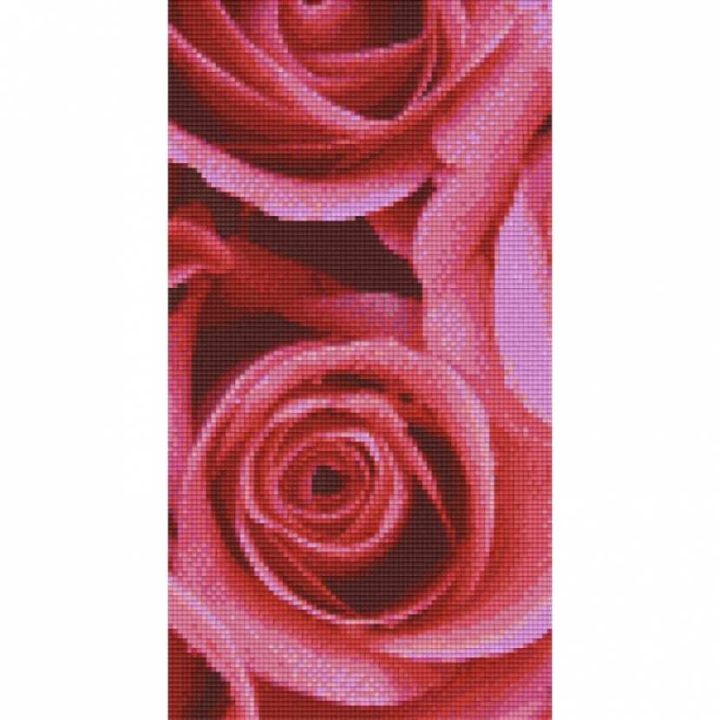 découvrez tout sur les plaques roses 2026 : nouveautés, réglementation, démarches pour l'obtention et conseils pratiques pour être prêt à la mise en circulation des nouvelles plaques en france.